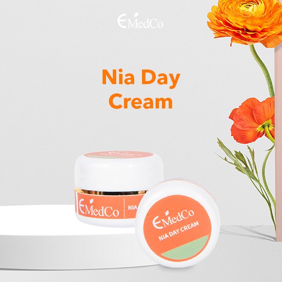 EVENT WEB NIA DAY CREAM | Produk | Brisha Store